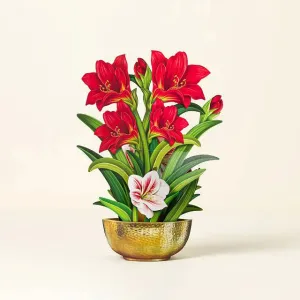 Scarlet Amaryllis Pop-Up Holiday Greeting